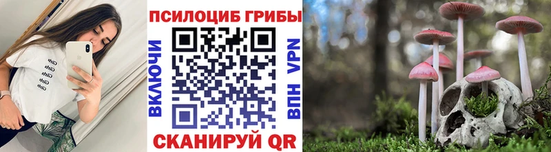 Галлюциногенные грибы Psilocybe  Котово 